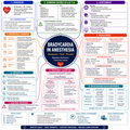Bradycardia – Anesthesia Mind Map
