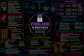 Hydralazine – Anesthesia Mind Map
