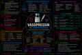 Vasopressin – Anesthesia Mind Map