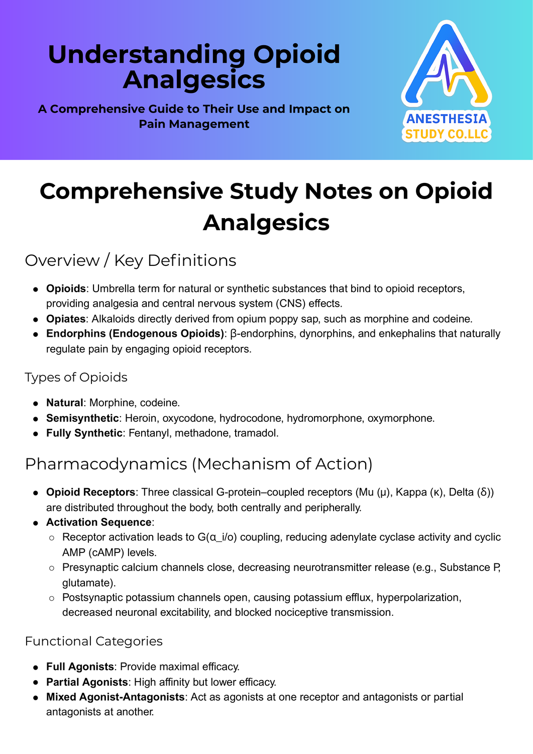 Understanding Opioid Analgesics