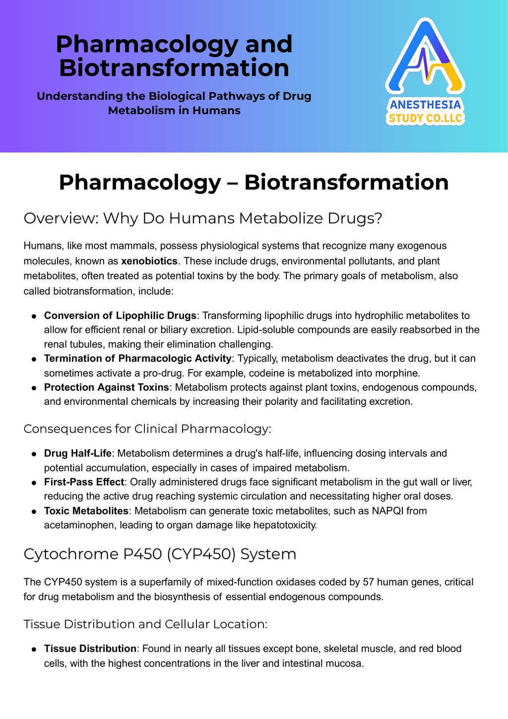 Anesthesia Pharm Bundle