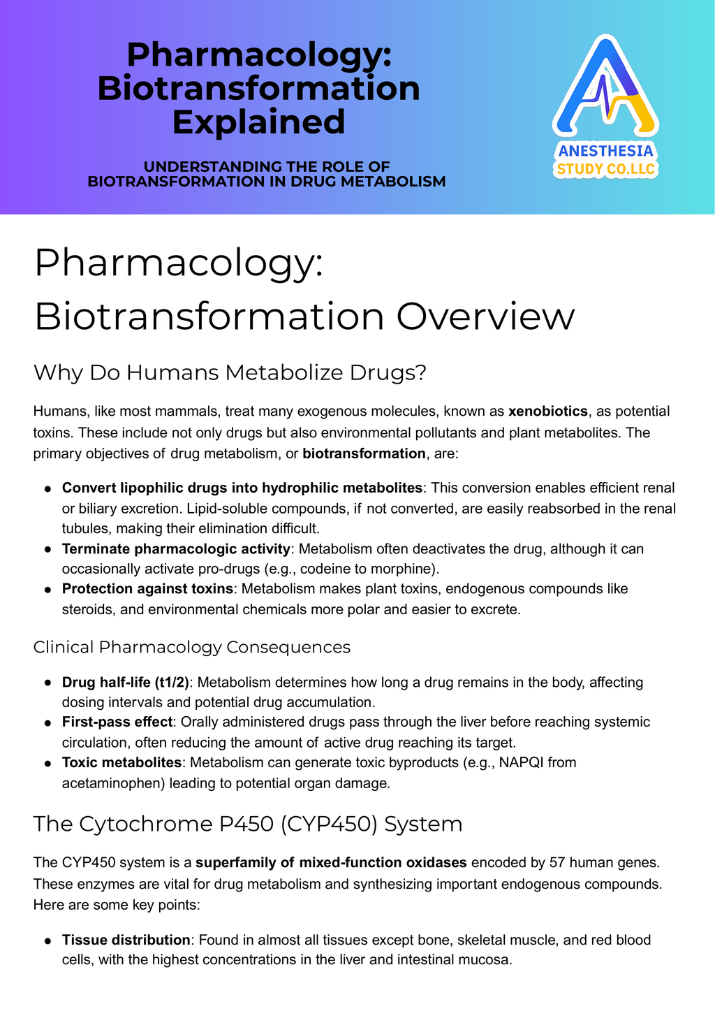 Anesthesia Pharm Bundle