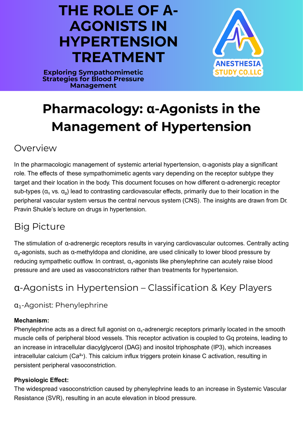 Anesthesia Pharm Bundle
