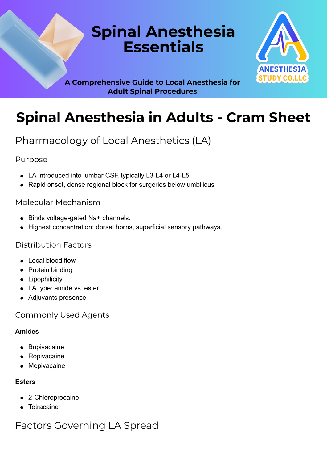 Spinal and Epidural Anesthesia Learning Objectives