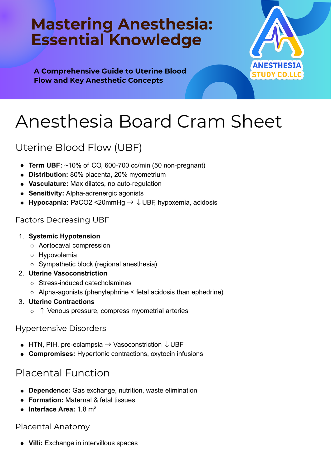 Mastering Anesthesia: Uterine Blood Flow
