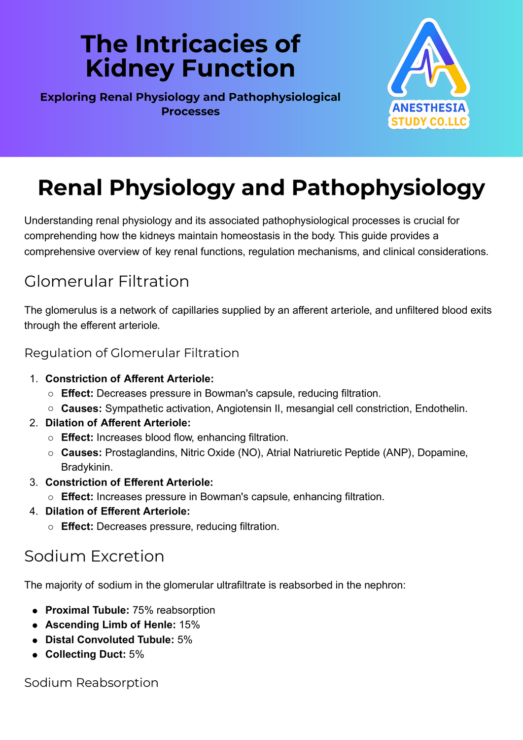 Renal Physiology and Pathophysiology