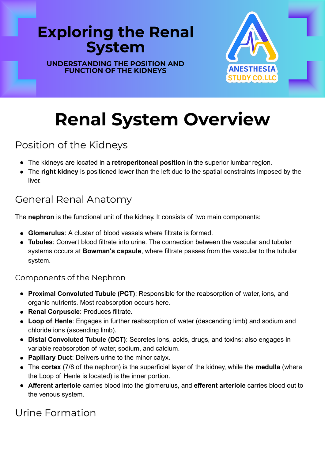 Exploring the Renal System