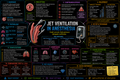 Jet ventilation – anesthesia mind map