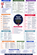 Vascular Disease Diagnosis – Anesthesia Mind Map