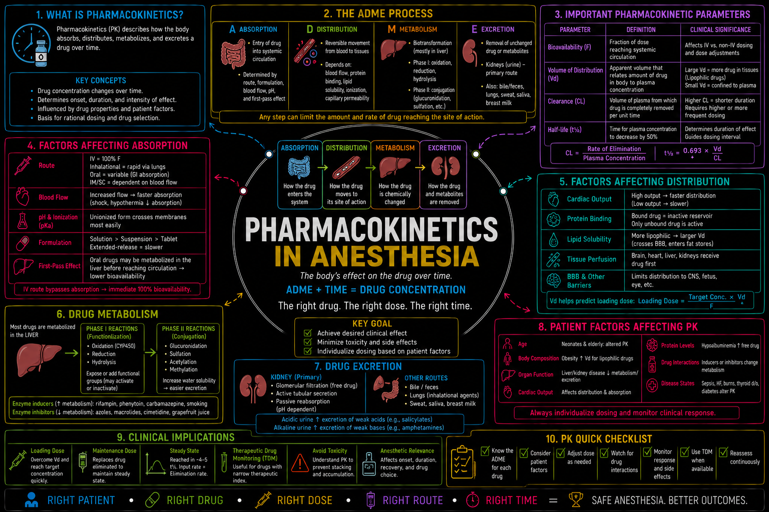 Pharmacokinetics – Anesthesia Mind Map
