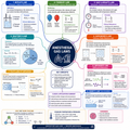 Gas Laws – Anesthesia Mind Map