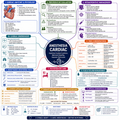 Cardiac Anesthesia – Anesthesia Mind Map
