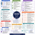 Endocrine – Anesthesia Mind Map