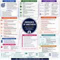 Emergence from Anesthesia – Anesthesia Mind Map
