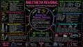 Regional Anesthesia – Anesthesia Mind Map