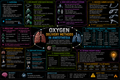 Oxygen Delivery Methods – Anesthesia Mind Map