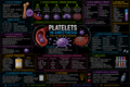 Platelets – Anesthesia Mind Map
