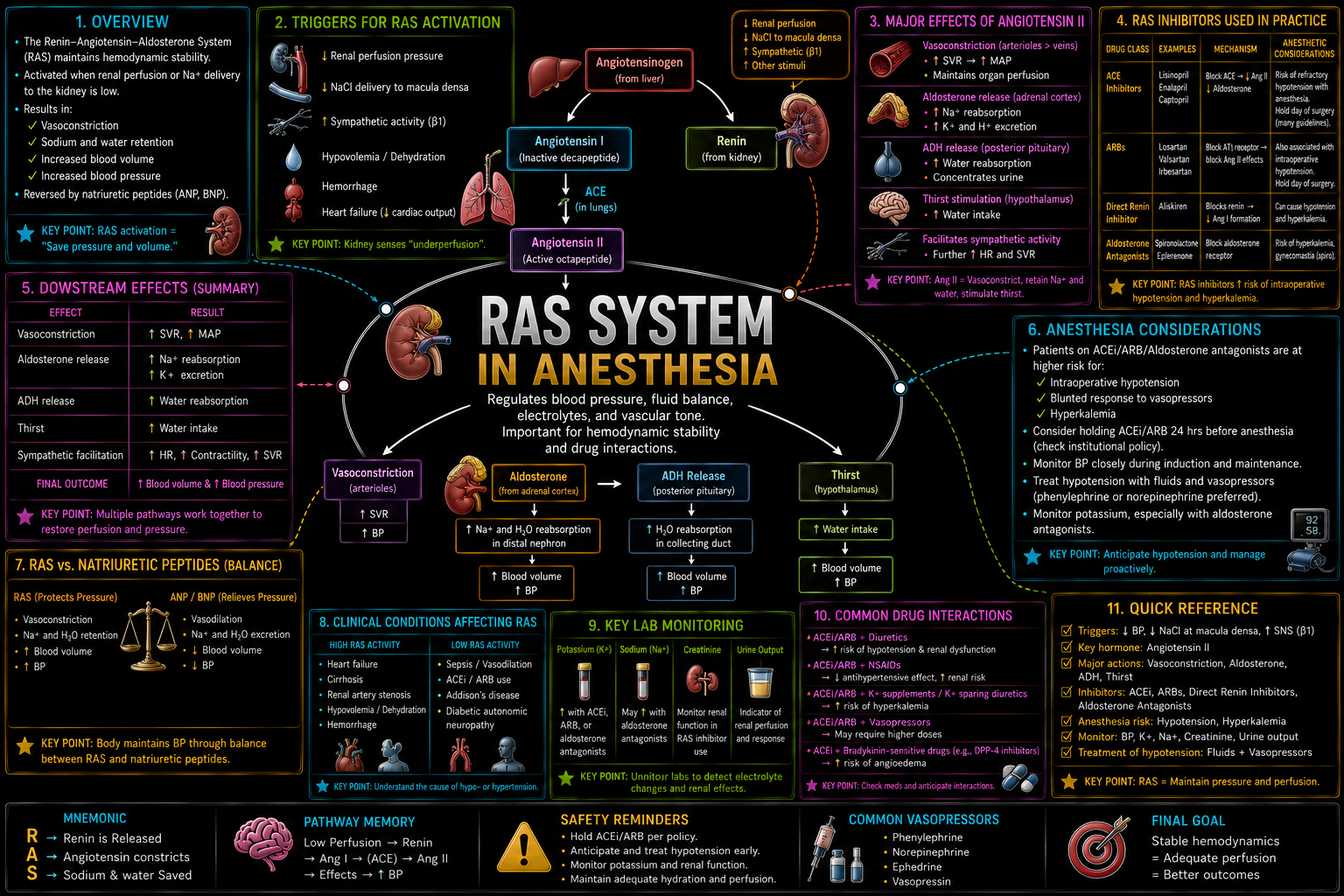 Renin-Angiotensin System (RAS) – Anesthesia Mind Map